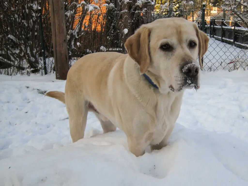 Image from Carry