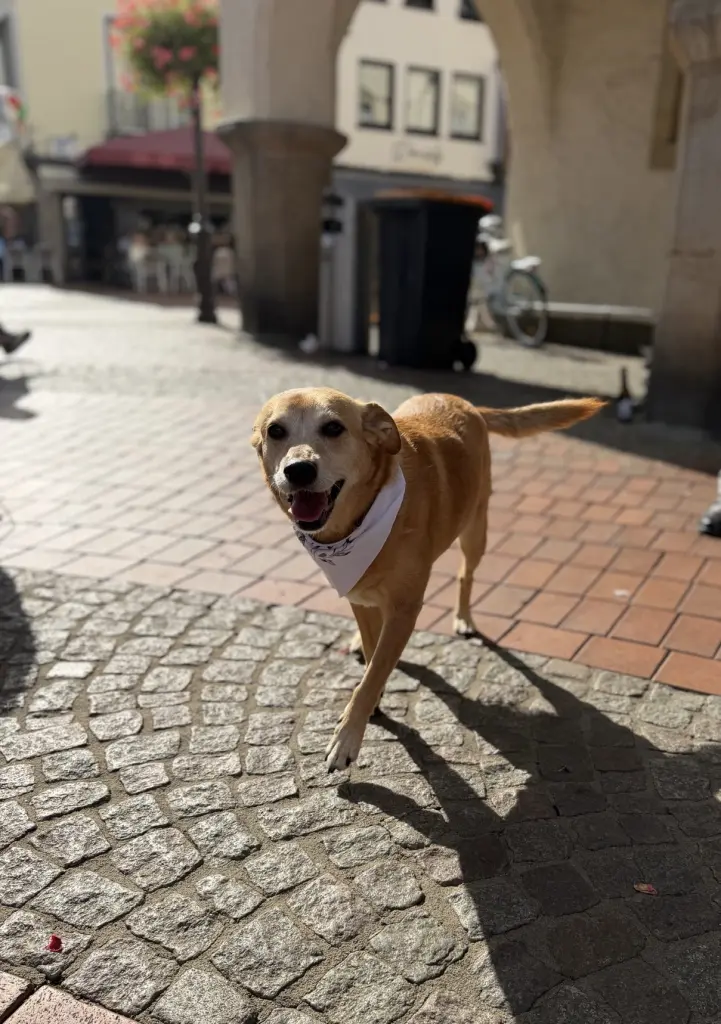 Bild von Guinda