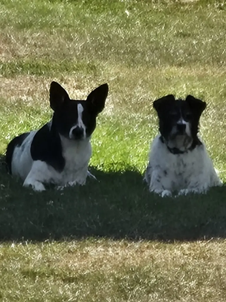 Bild von Lilly
