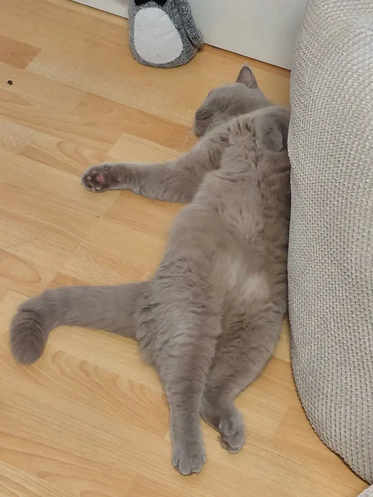 Bild von Juri