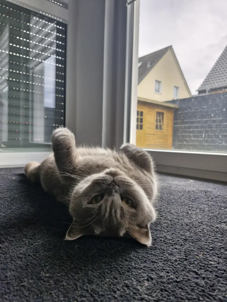 Bild von Juri