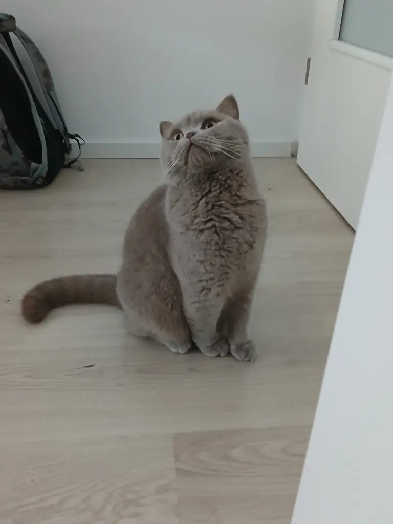 Bild von Juri