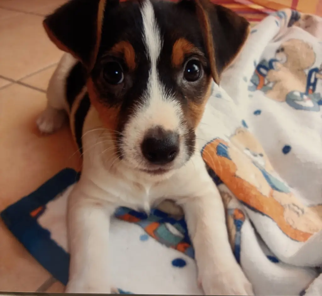 Bild von Jacky