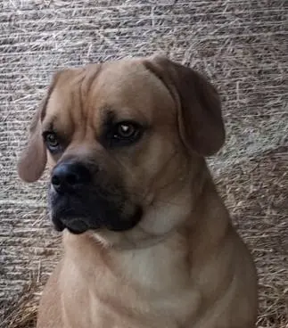 Bild von Benni