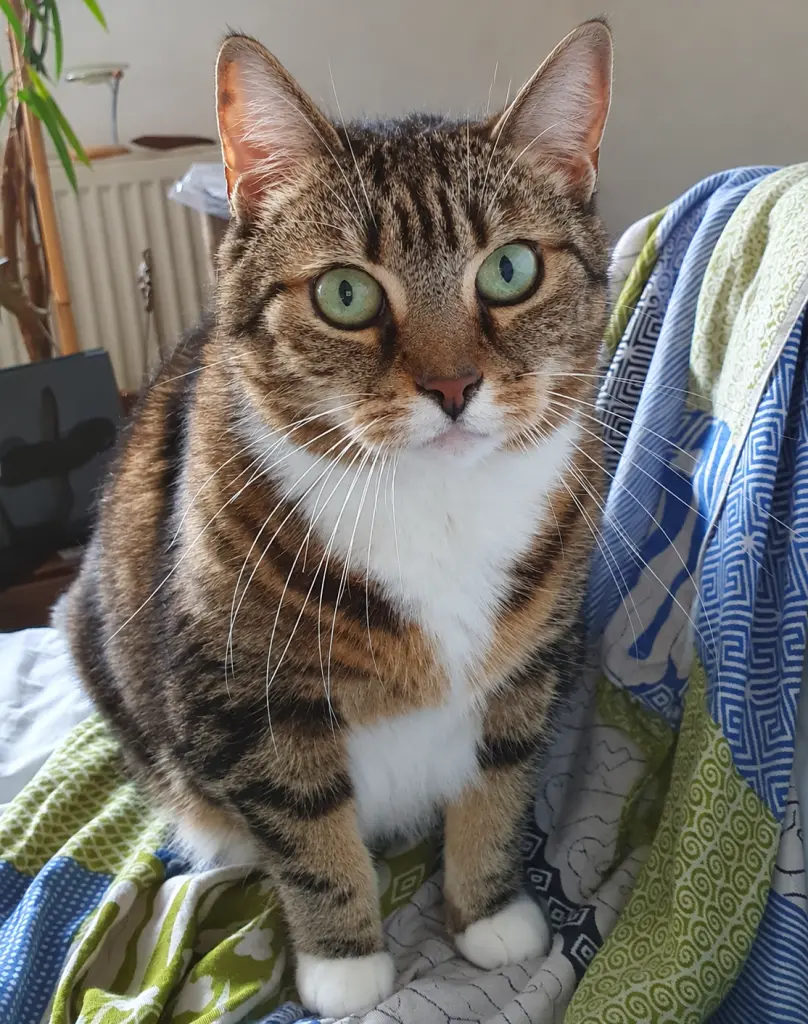 Andachtsbild von Deine Mama