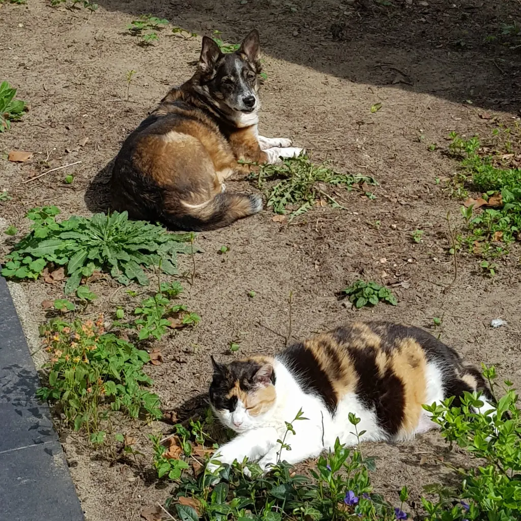 Unsere Zwei
Lieblinge