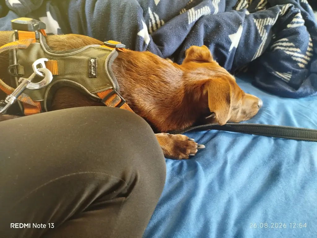 Andachtsbild von Yvonne Riedel