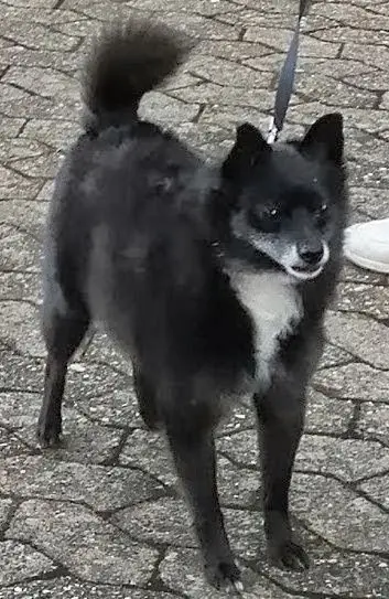 Sparziergang