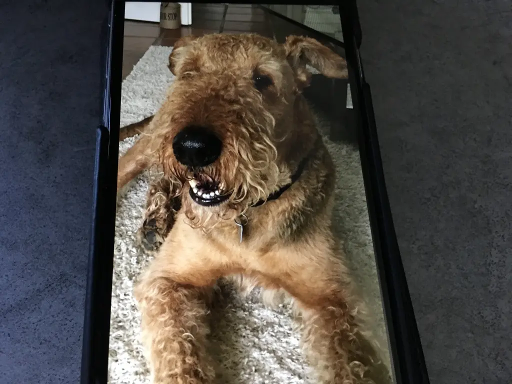 Andachtsbild von Gabi mit Max im Herzen