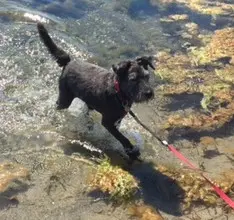 Andachtsbild von Yvonne mit Bodo im Herzen