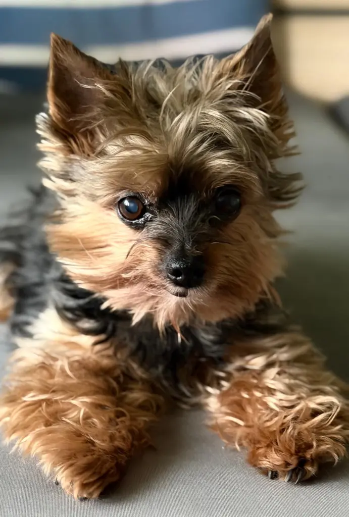 Bild von Charly