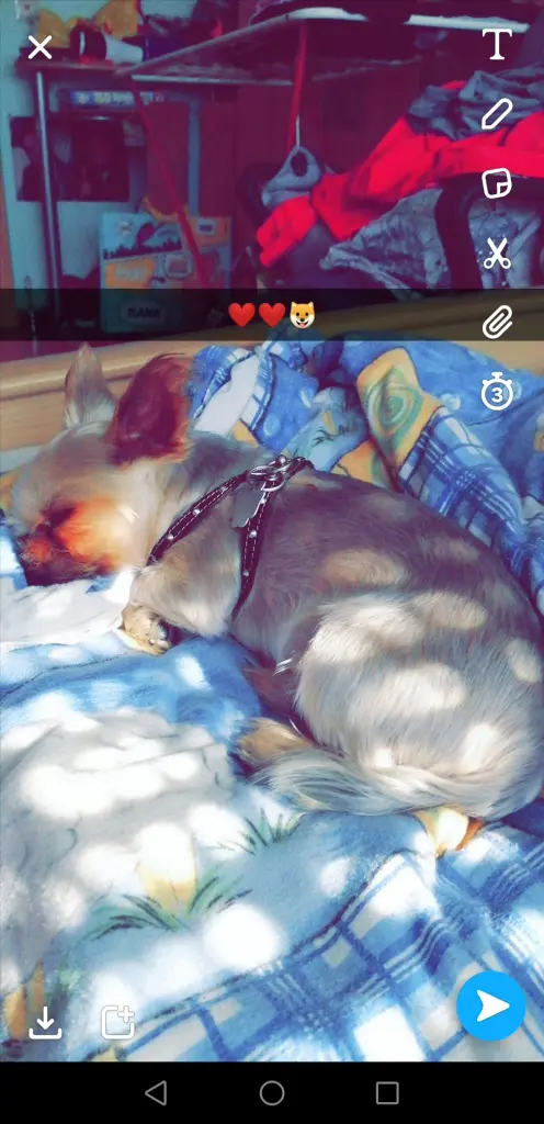 Image from Rocky