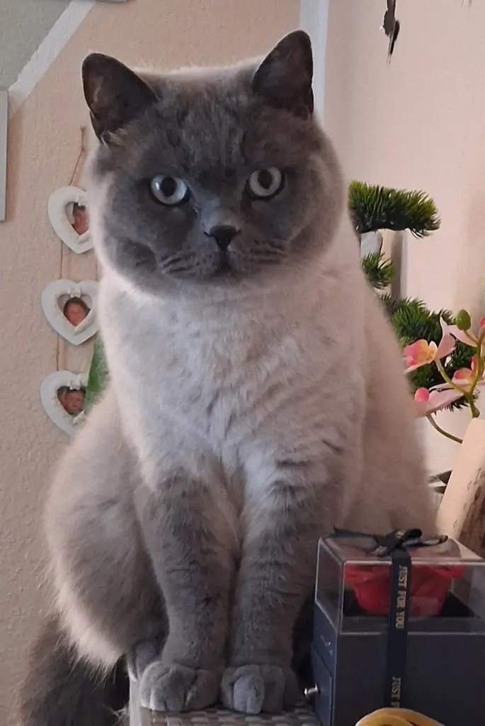 Condolence image of Nicole .