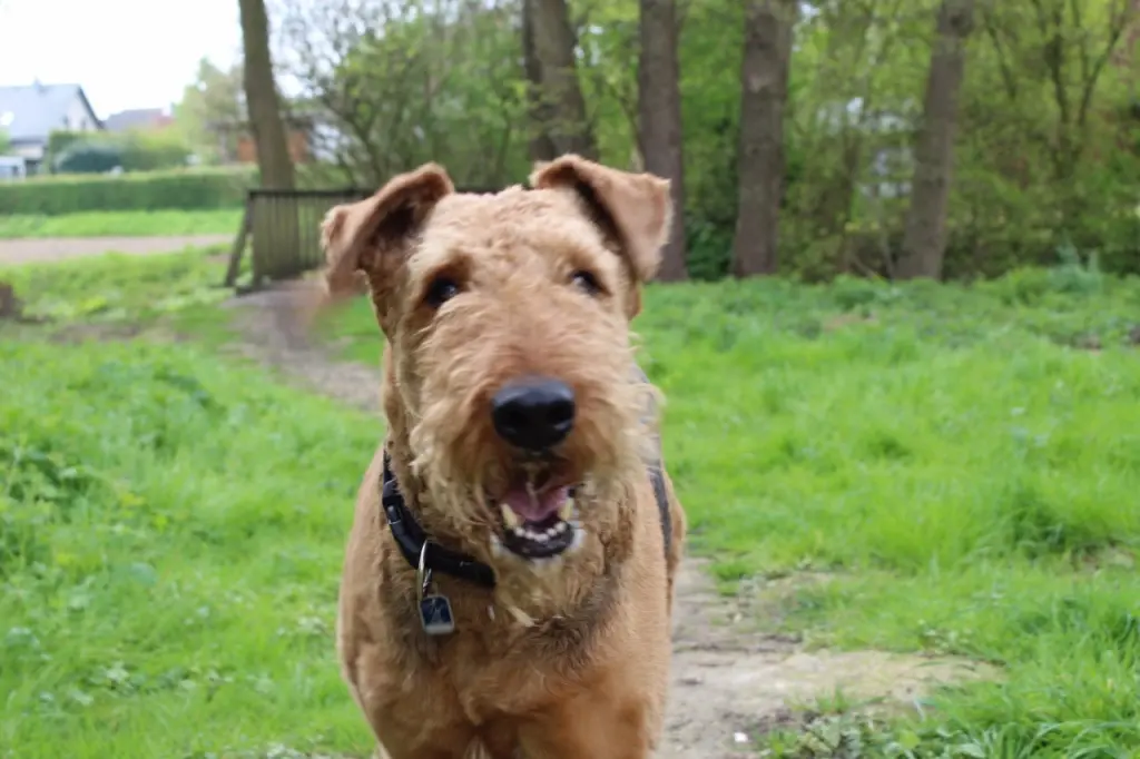 Andachtsbild von Gabi mit Max Im Herzen 