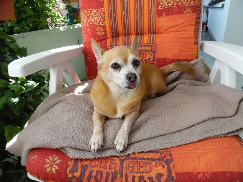 Andachtsbild von Irene mit Jimmy Im Herzen