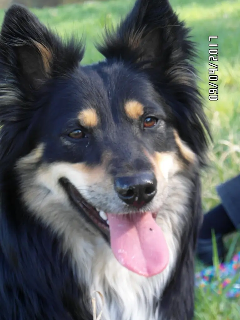 Bild von Polly