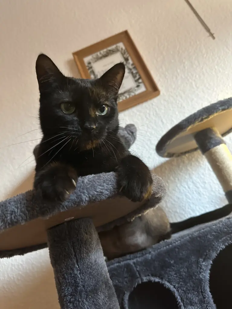 Bild von Lilli