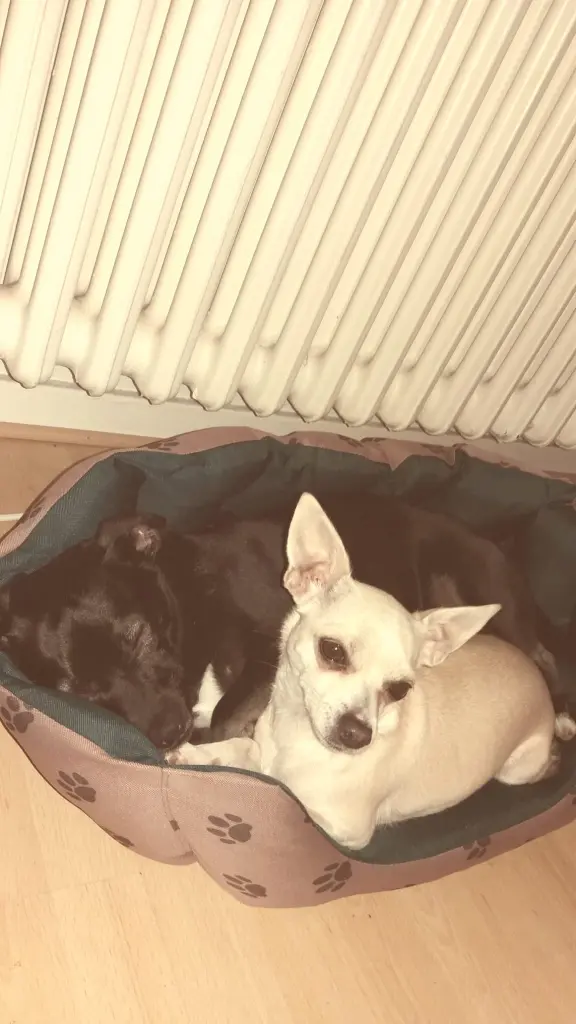 Bild von Lilly