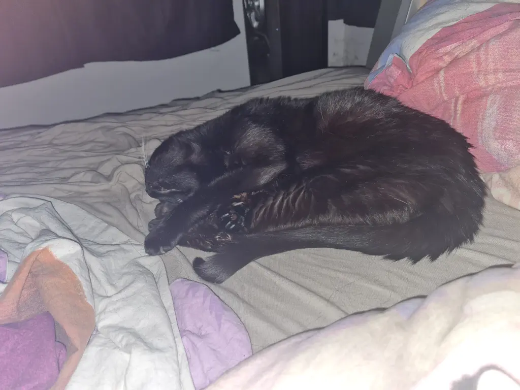 Bild von Angel