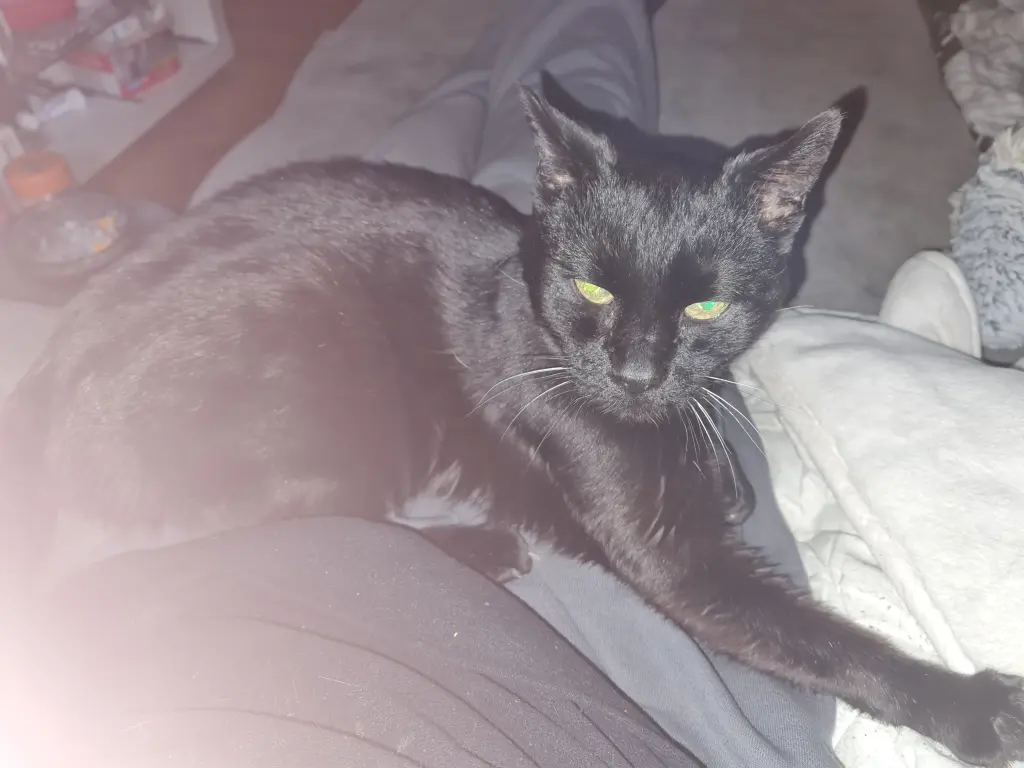 Bild von Angel