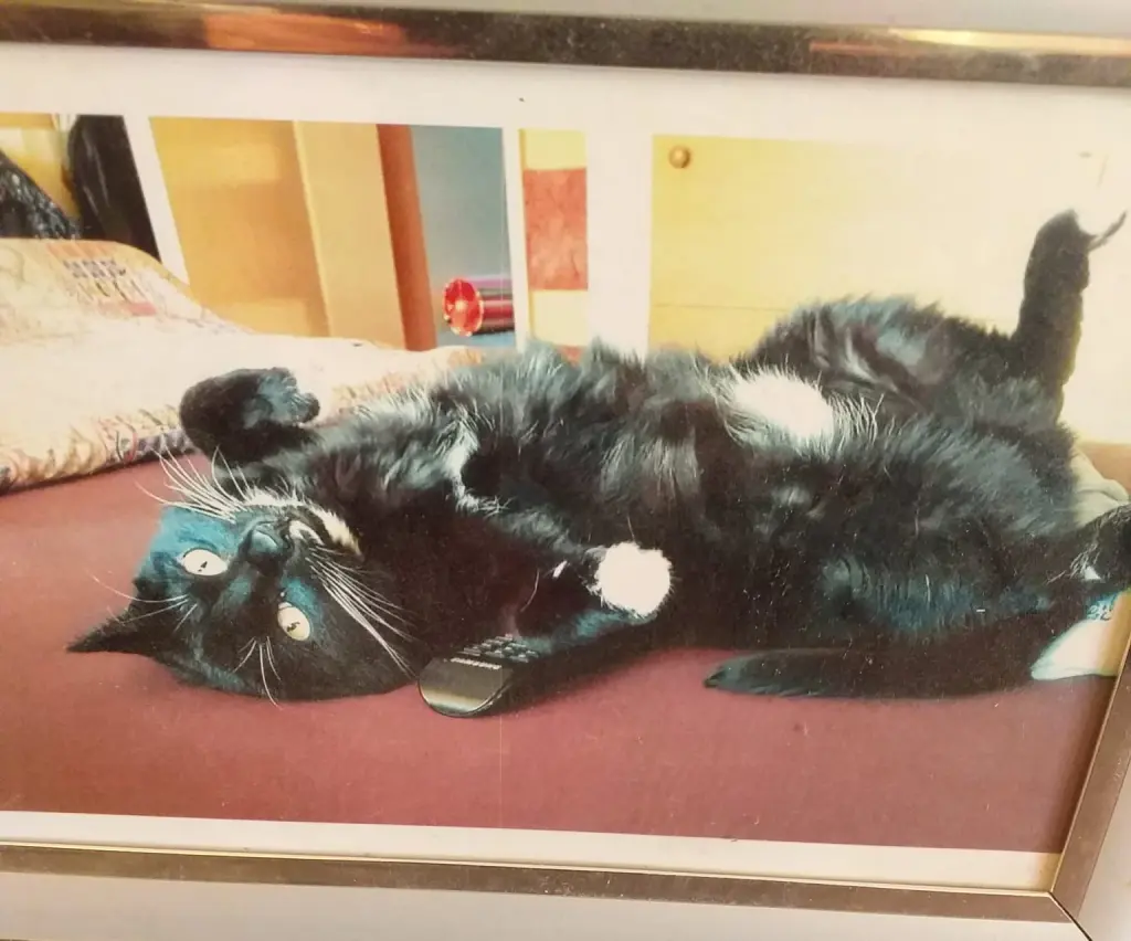 Bild von Mona Lisa