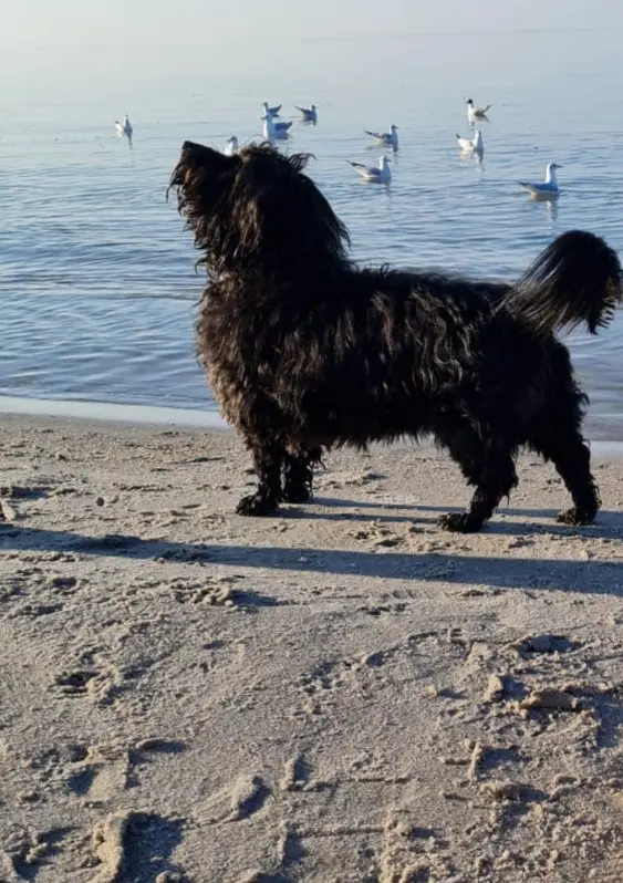 Bild von Rony