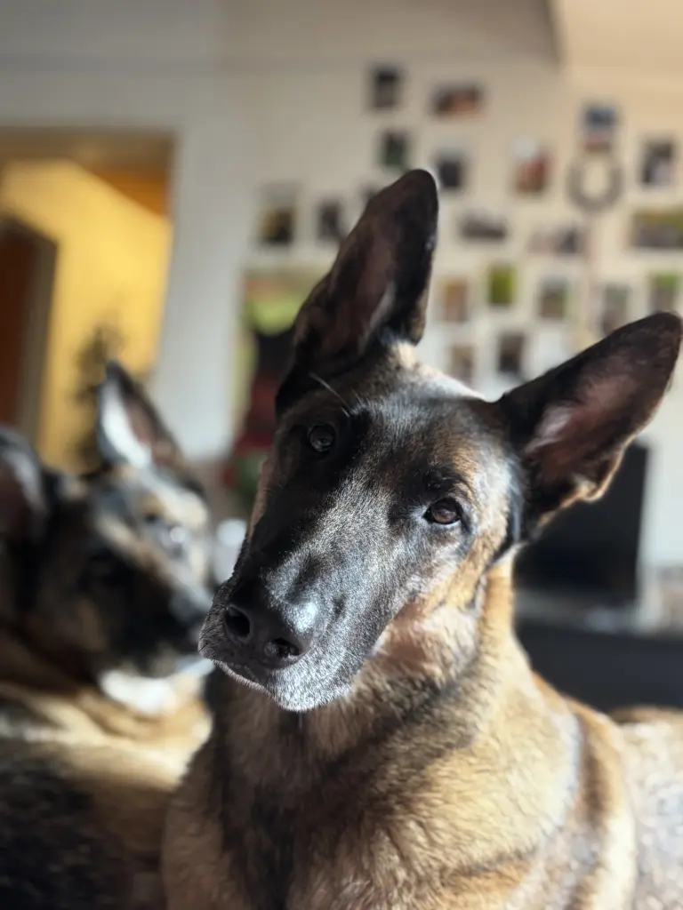 Bild von Maja