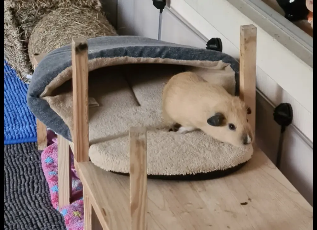 Bild von Lina