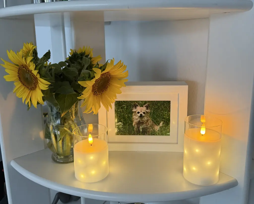 Bild von Lily