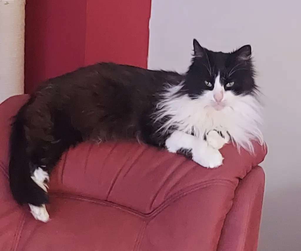 Bild von Kessy