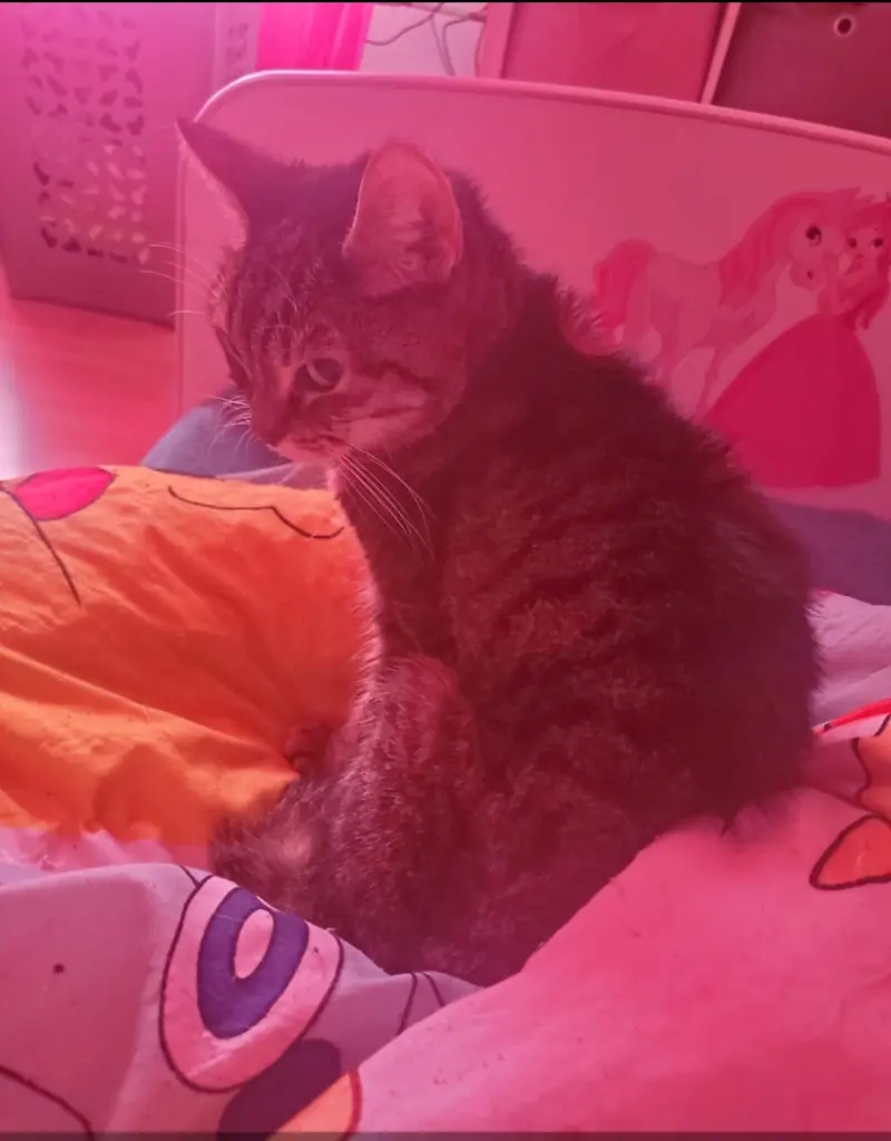 Bild von Mimmi