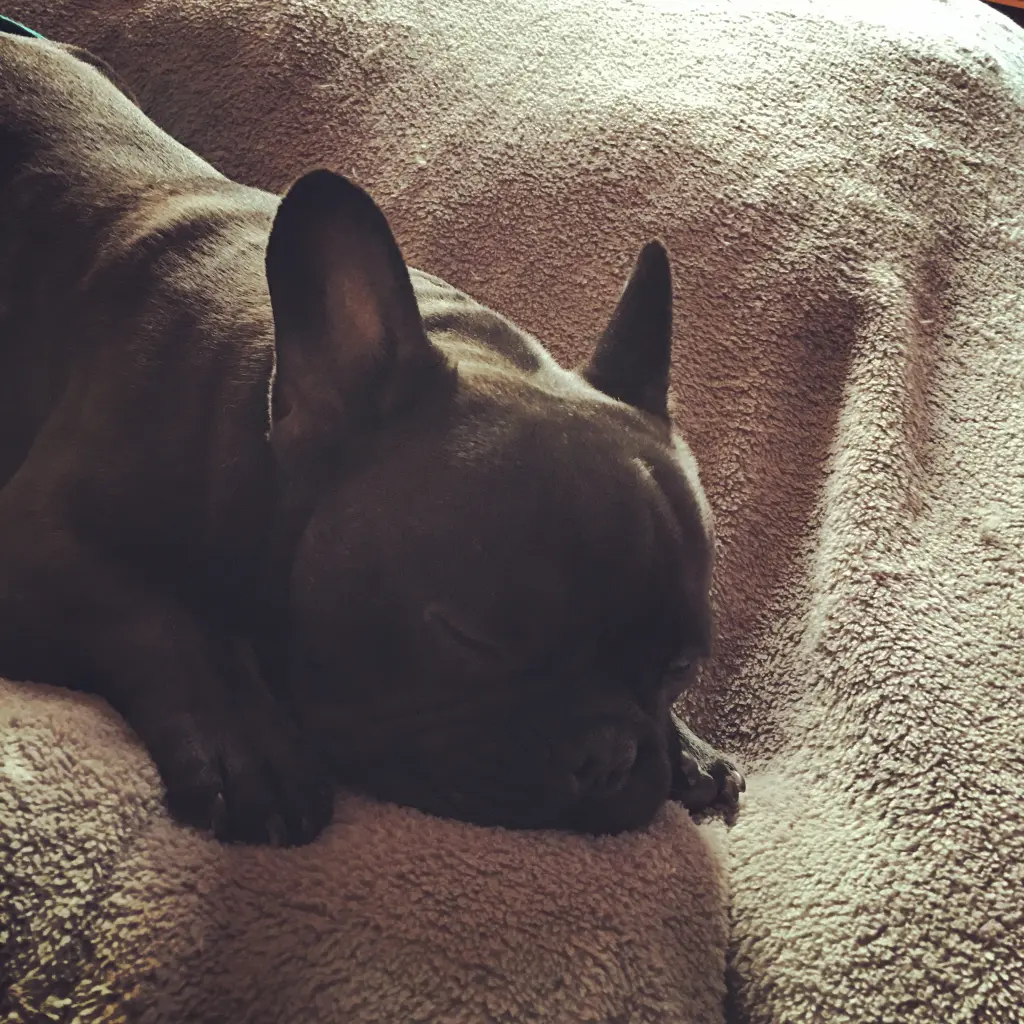 Bild von Theo