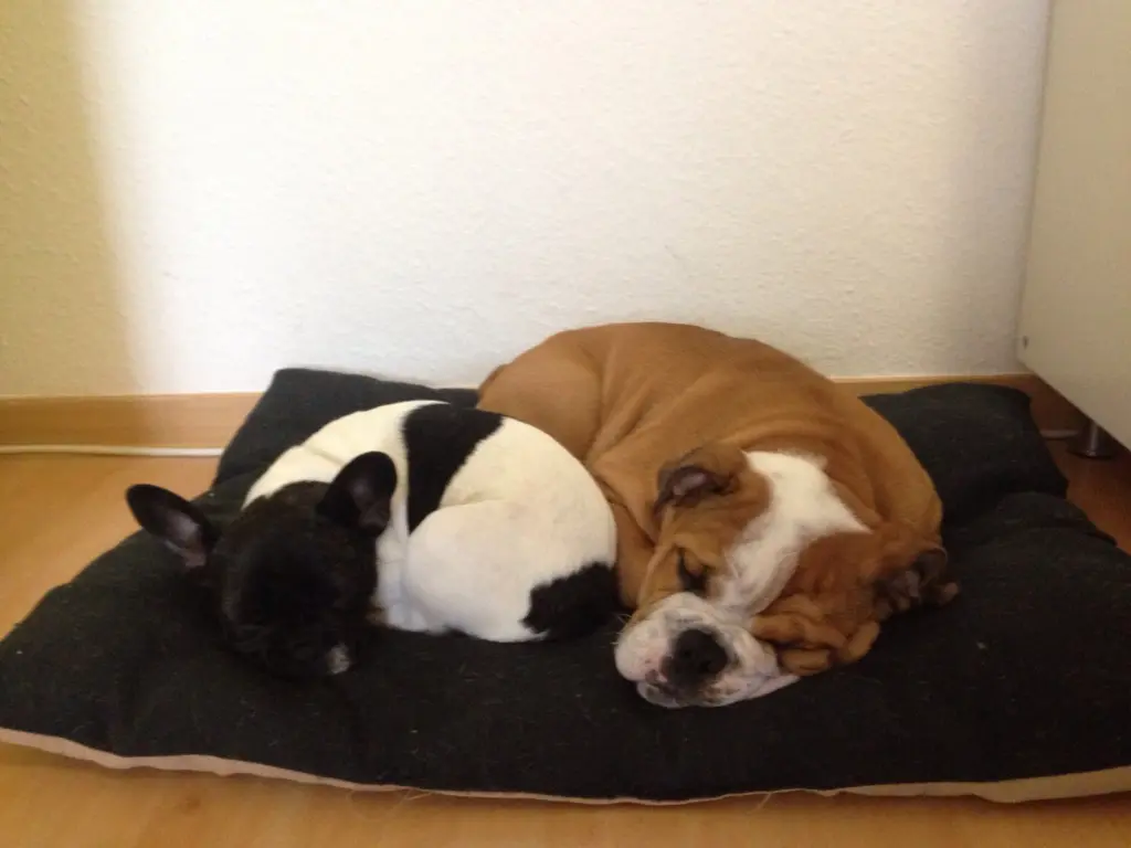 Bild von Eddy