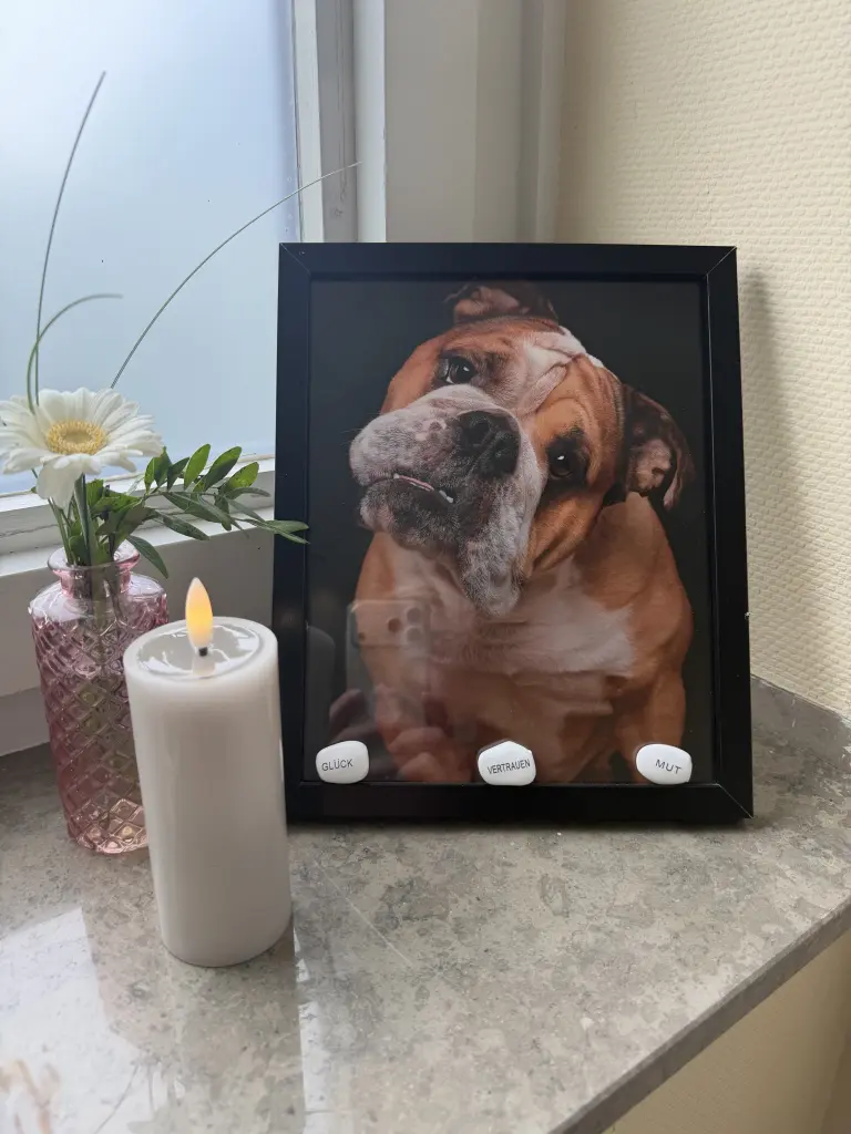 Bild von Eddy