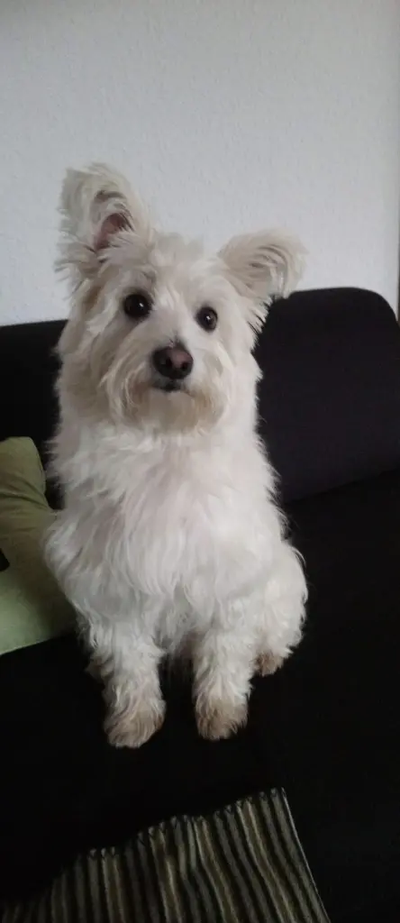Bild von Lilly