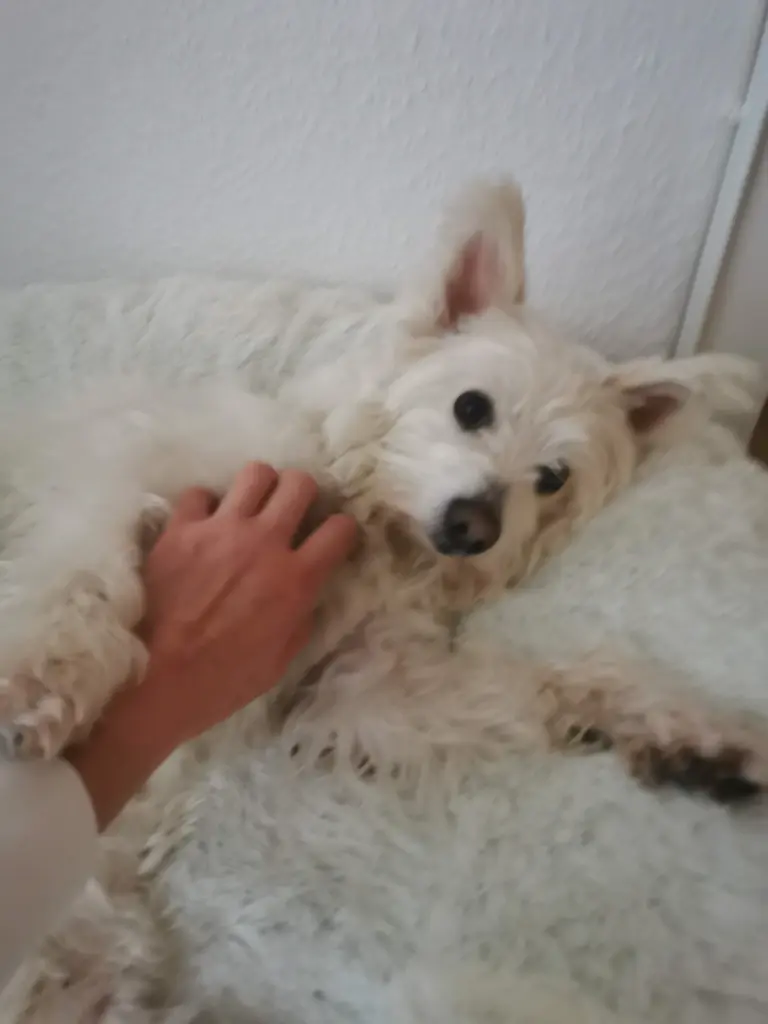 Bild von Lilly