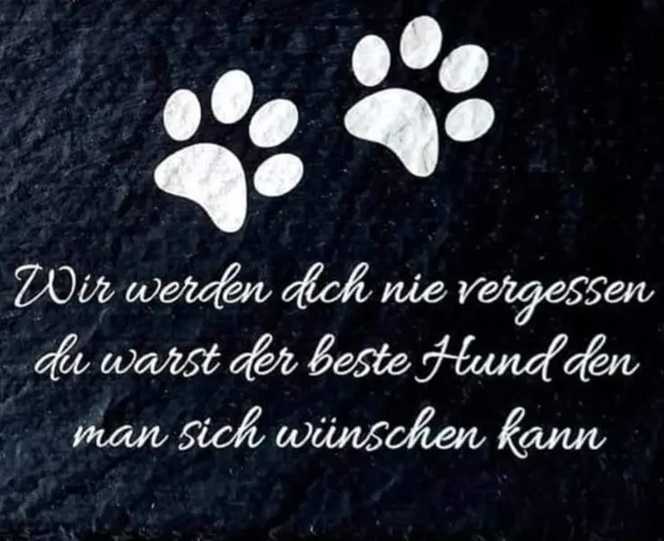 Image from Lou