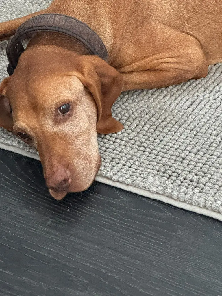 Bild von Lotta