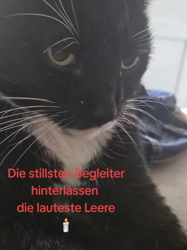 Bild von Fleckchen