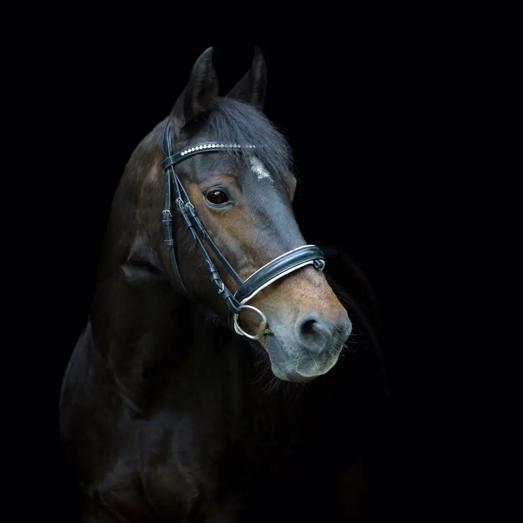 Bild von Kayty
