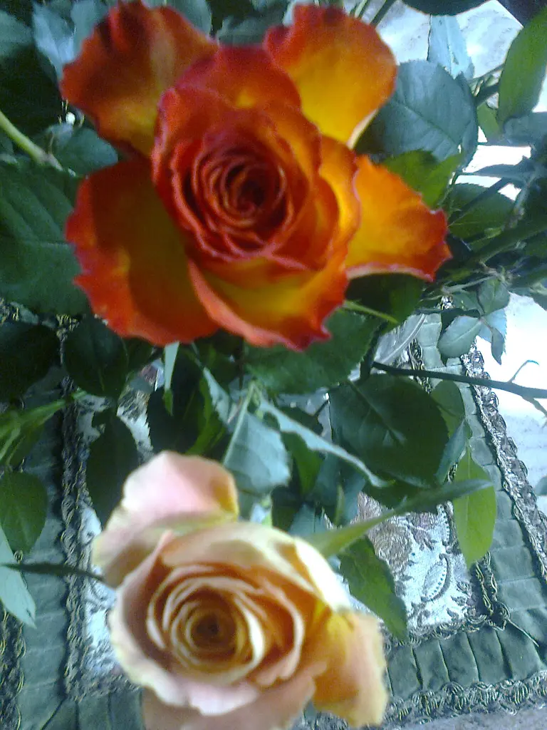 Condolence image of Christiane
