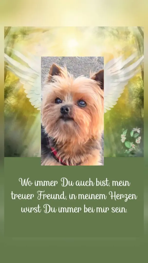 Bild von Murphy