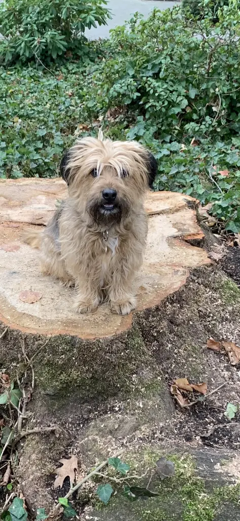 Bild von Leonie
