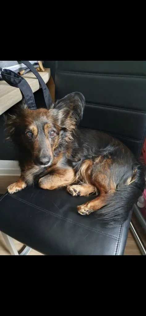 Bild von Kani