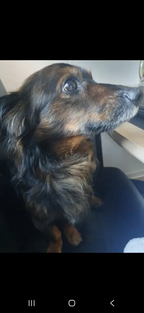Bild von Kani