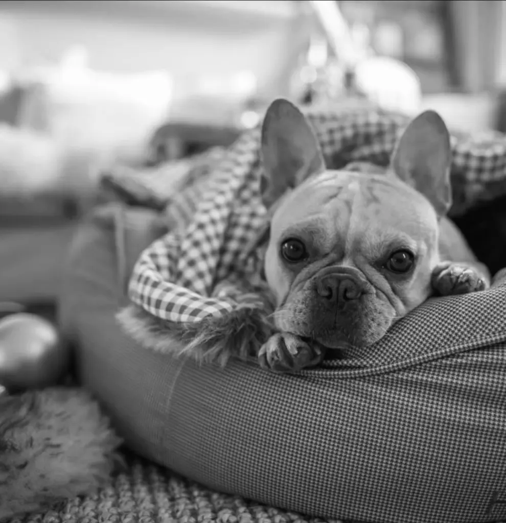 Bild von Peggy