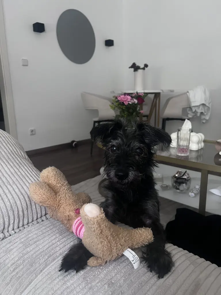 Bild von Tara
