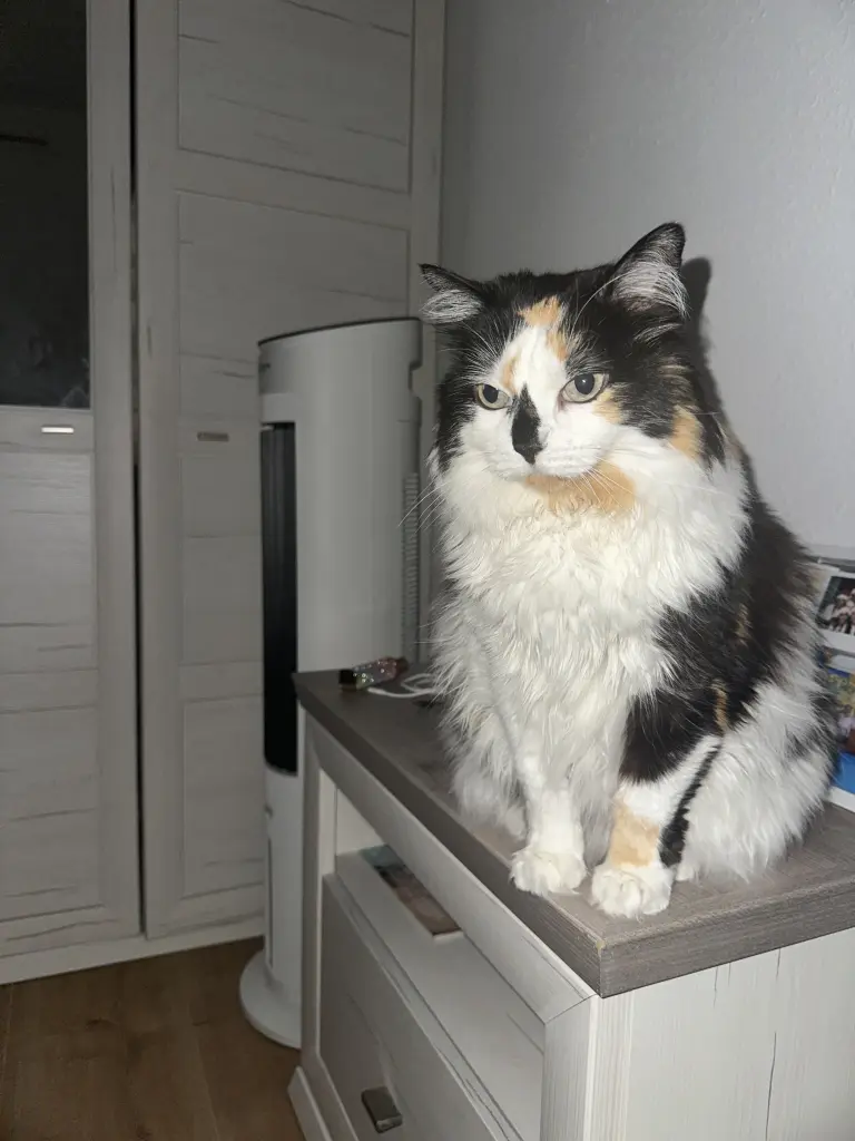 Bild von Ximena