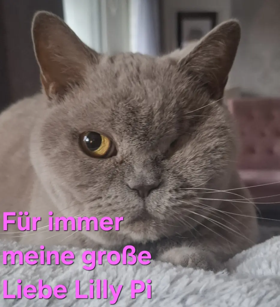 Bild von Lilly