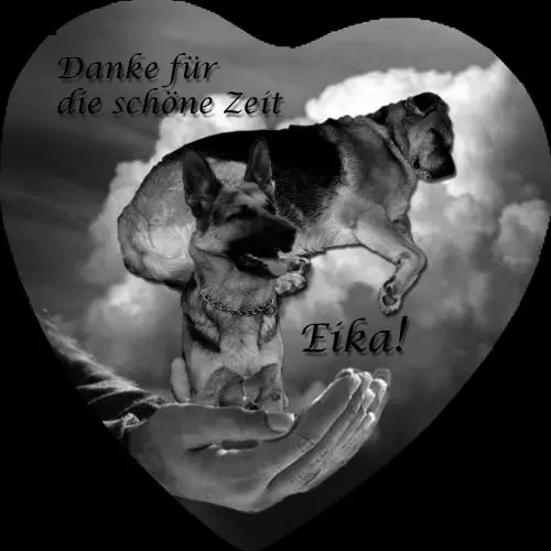 Bild von Eika